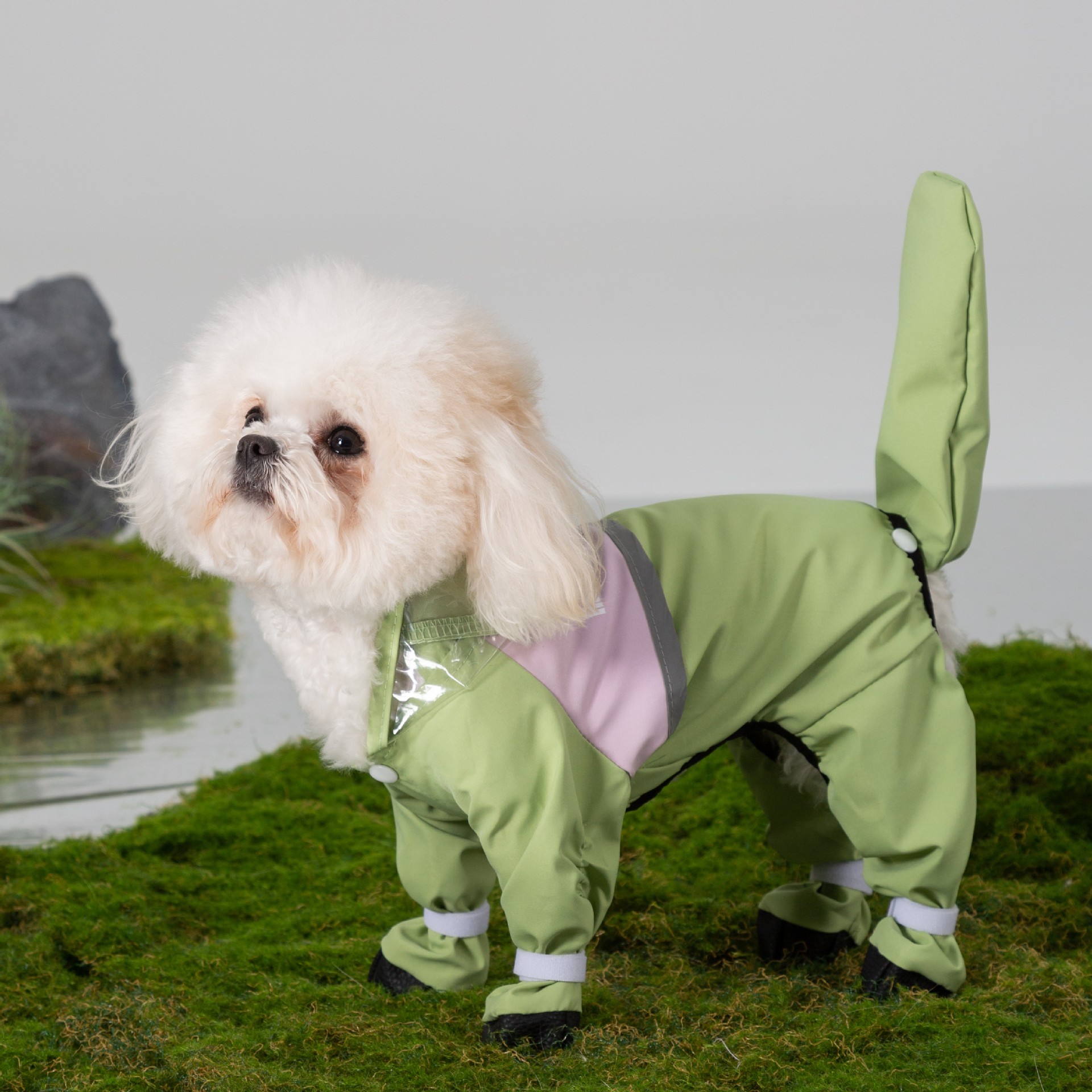 Transfronterizos perros chaqueta de lluvia cuatro patas todo incluido ropa impermeable perros pequeños osos peluche perros primavera y verano lluvioso chaqueta de lluvia