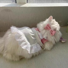 女仆装~ins宠物猫猫咪衣服狗狗服装变身装蝴蝶结可爱