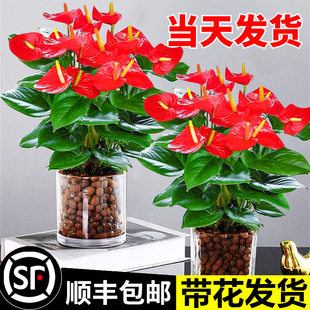 ˮ��t�����Ԏ������~�󻨰����׻��ļ��_���ܾGֲ���k���҃Ⱥ��B