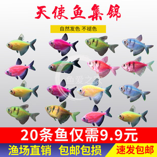 �ǹ���ʹ�߲���ʹ�~��̖��ȹ�~���ֺ��B�ͻ�Ⱥ���~С�͟Ꭷ�^�p�~