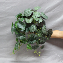 ڒݮ~ع~Gɫbֲٗl~҃ȵֲl