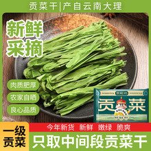 袋装自晒贡菜干脱水蔬菜无叶苔菜干菜火锅食材批发贡菜段火锅必备