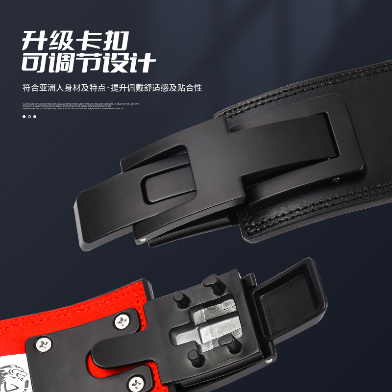 BD Power Lifting Fitness Belt, cinturón de abdominio, cinturón de protección de cintura profesional de culturismo, levantamiento de pesas en cuclillas, tirón duro para fijar cinturón de cintura