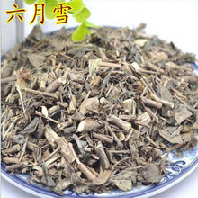 ��ș������ѩ Ұ�����R�ǰ��] �M���� ·߅�� ����ľ �u�ǲ�