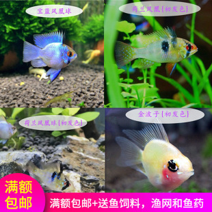 �����^�p�~С�͵�ˮ�����W�^�~�����_�~���m�P���~���m������~