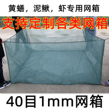 40目加厚网箱养鱼箱养殖网箱存鱼专用鱼苗防逃网黄鳝龙虾螃蟹鳝鱼
