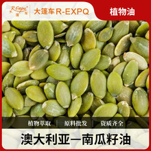 南瓜籽油澳大利亚直采原料批发植物基础油身体按摩美容院护肤SPA