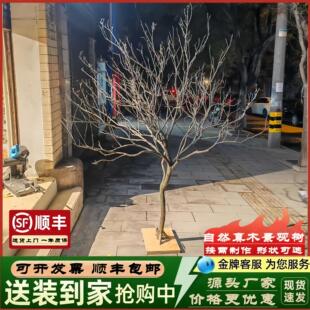 ��֦����쾰�򿨴�����ؔ[���b���S�ݘ�ɘ����Ͳ�����