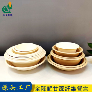 Disposable Paper Pulp Bowl, Biodegradable Sugarcane Pulp Tableware, Take-Out Lunch Box, 12oz Ice Cream Packaging Bowl, Round