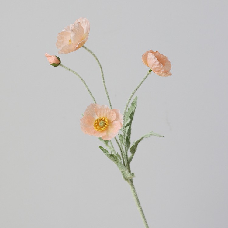 [1] 샴페인 컬러