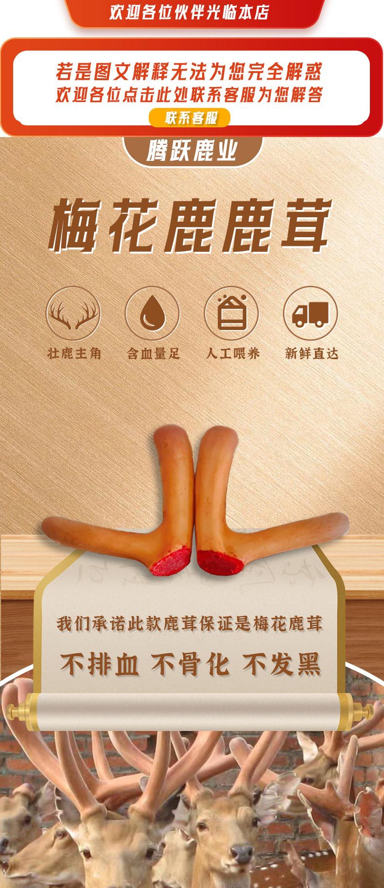 微信图片_20230324091429_01