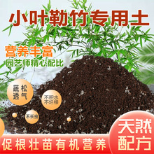小叶簕竹土勒竹土风化土种竹子土红土酸性盆景土种植土营养土