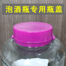 酒瓶盖通用密封盖子配盖单卖大口塑料泡酒罐盖玻璃酒坛泡菜瓶