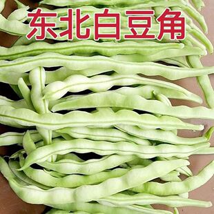 �|���r�Ұ״�ܰ׶��ǰ׼ܶ��ײ��ϱⶹܿ���Fժ���r�߲�5����]