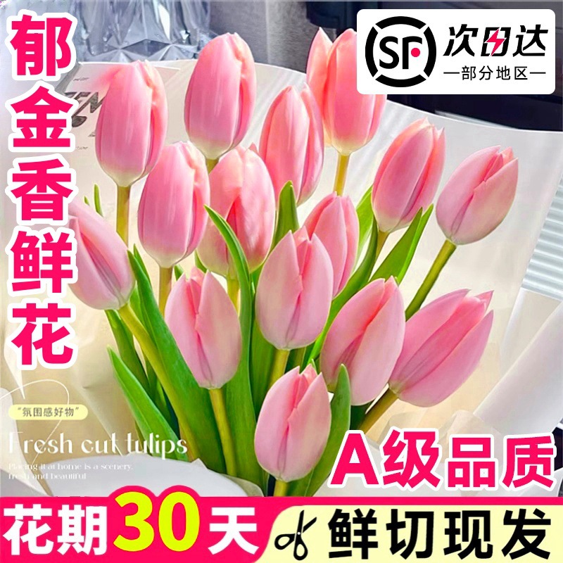 粉色郁金香鲜花云南基地直发百合玫瑰花束真花家用插花鲜切花批发