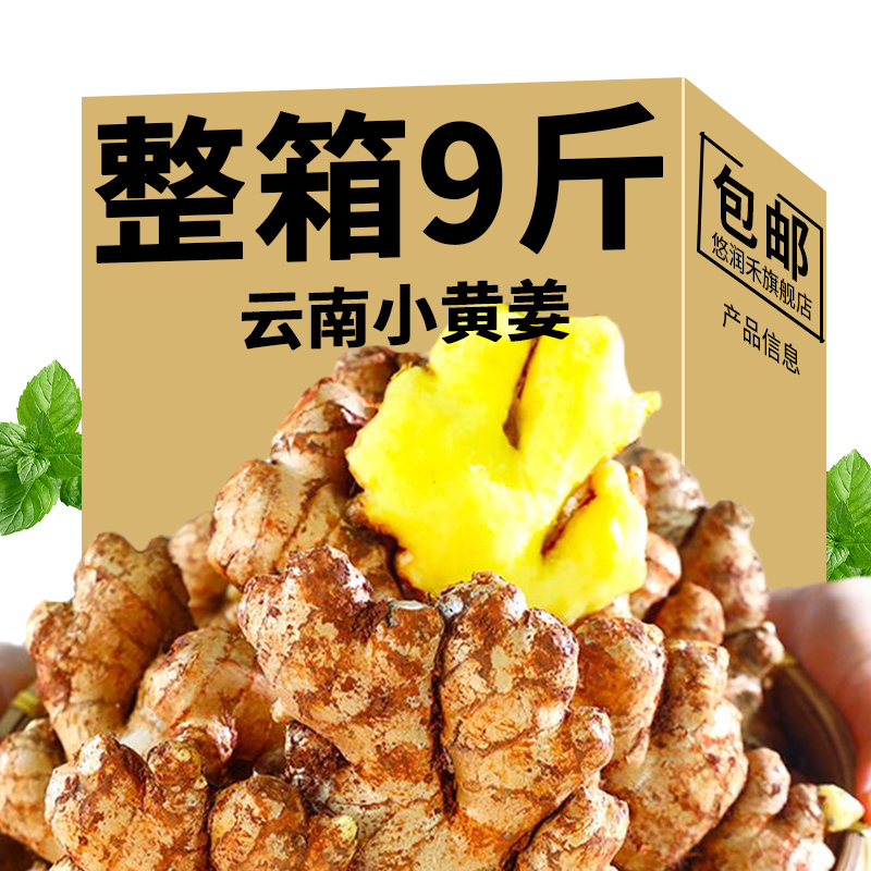 云南正宗小黄姜生姜9斤新鲜挖辛辣老姜土姜月子姜嫩姜整新姜包邮