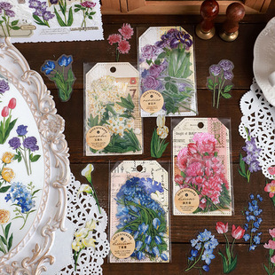 Infeel.me  ������ϵ�� PET�N����ֲ�ﻨ���֎�diy�b��زķ�ˮ�N