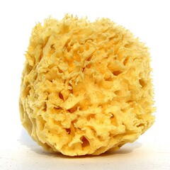 希臘蜂窩海綿洗臉面撲 成人洗澡浴綿柔軟舒適吸水沐浴球