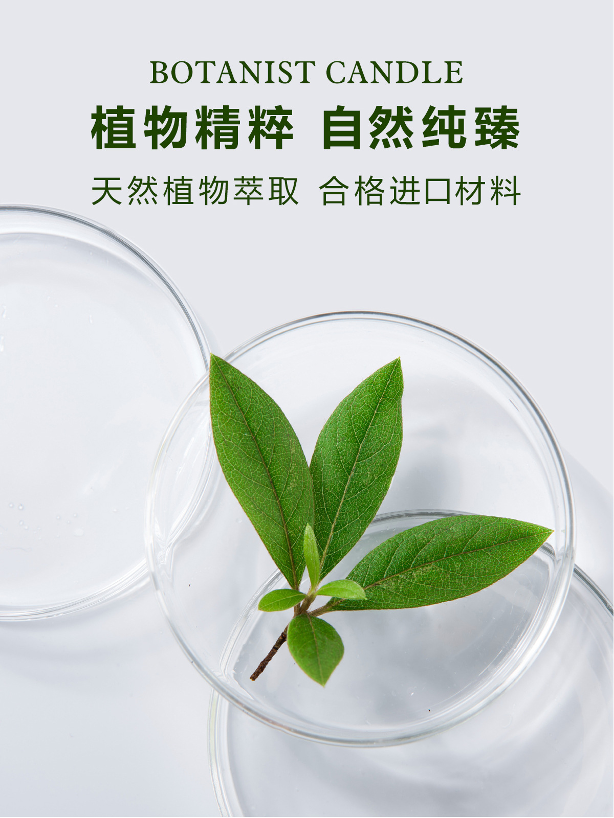 植物学家蜡烛_04