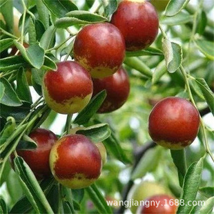 ��횗��������մ�������ش����Ե��Լ޽ӹ������Ϸ������Nֲ����