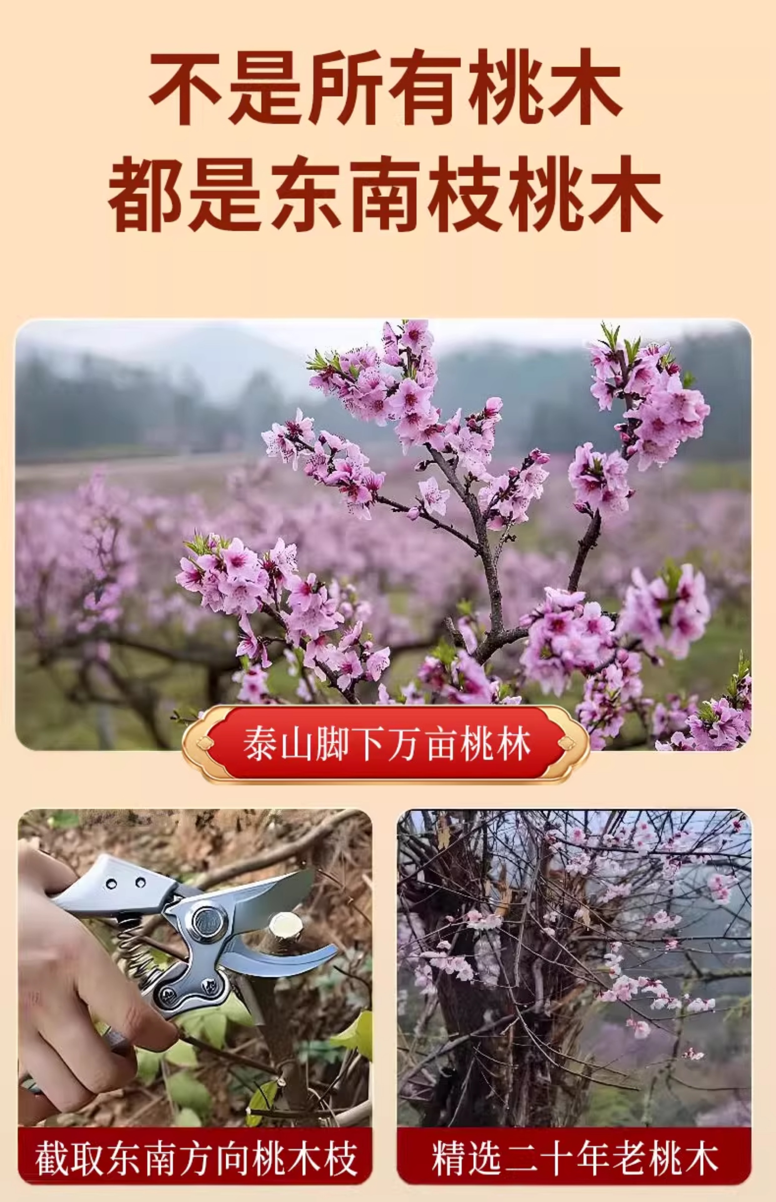 五色线桃树枝老桃木七根桃树东南枝婴儿宝宝压惊孕妇真桃木挂件-阿里巴巴