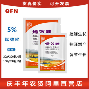 ����5%ϩЧ�� �����������t������ �������L ���L�{���� 100��