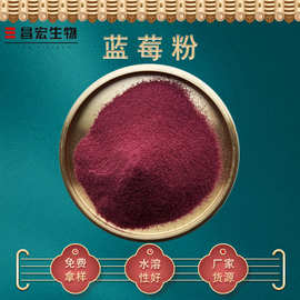 蓝莓粉98% 蓝莓汁粉 蓝莓速溶粉 蓝莓果粉 昌宏供应 现货包邮