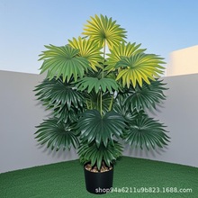 ������ȿ��ؙ��~�Gֲ���Լ�ֲ���b��҃ȷ���Gֲֲ��[��