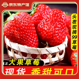 ů������NUANXINGUO�����|99�t�ţ�����Ͳ�ݮ �^��Fժ�þô��