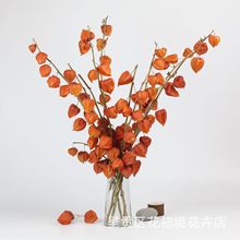 ƷԴ^S{\ȻɻɹҾDIYb廨նY