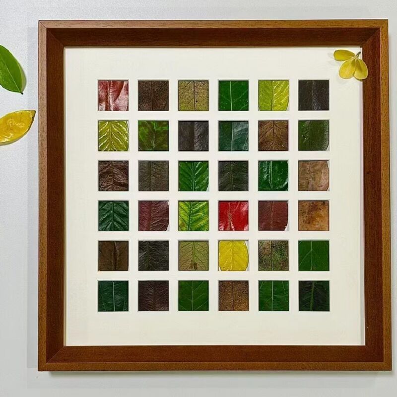 Fall Leaf Photo Frame 48/36 Grids DIY Leaf Specimen Frame Maple Leaf Parent-Child Handmade Design Display Stand Wooden Frame Rectangular