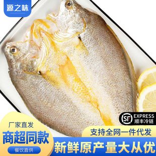 �S�~�����r������S�~�S���~��ȥ���r�_���S�~���r�~��~����