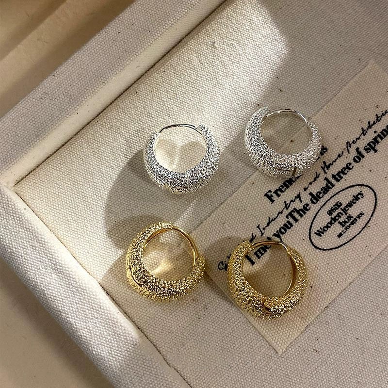 Metal Cold Wind Frosted Earrings Earrings Women's 2025 New Explosions Advanced Ear Studs Elegant Unique Earrings