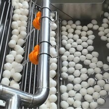 大型丸子蒸煮流水线 牛肉丸蒸煮成型设备包心鱼丸成型机