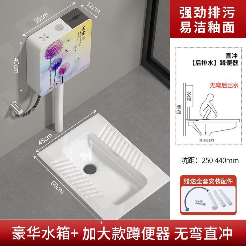 品牌蹲便器水箱卫生间后排蹲坑便池大便器蹲便器大号特大号家用无|undefined