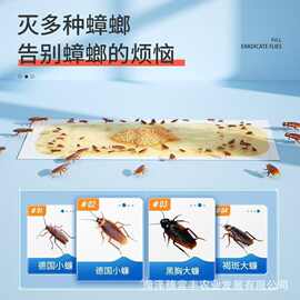 家用蟑螂粘板蟑螂贴厨房餐厅室内一窝端蟑螂贴粘板蟑螂虫子粘板