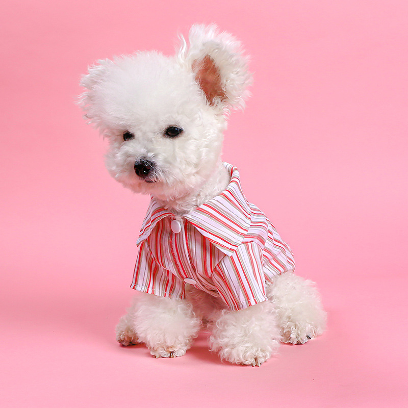 Casual Polyester Stripe Pet Clothing display picture 3