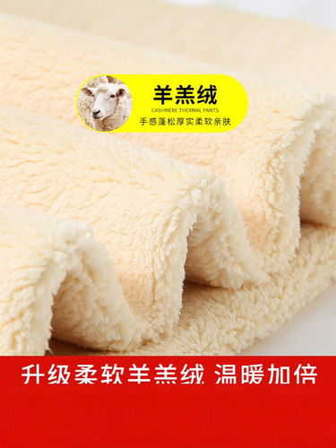 Specially available for thick light panel lamb cashmere leggings for women in autumn and winter, high-rise tights, thermal pants, yoga pants, stovepipe