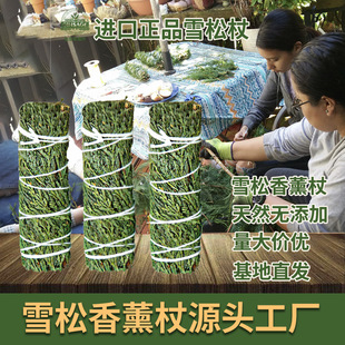 ѩ�������l�����M�� white sage���\ڤ���ȼ���������β��