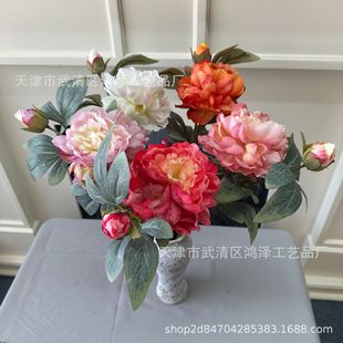 ���滨2�^ĵ�����l��c�����������ҾӔ[���m͢ĵ���ٻ���c�zӰ