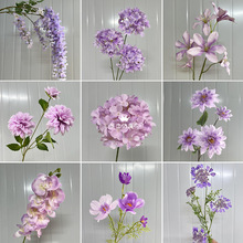 Ī�Μ\��ɫϵ���滨�Ļ�Y�������üٻ��Ƶ�ӭ�e���T�b�c�û�