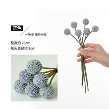 ����6�^������S����廨���ļҾ��bƵ��bzӰ���� �羳���l