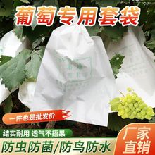 防水纸袋水果套袋神器葡萄袋专用防雨袋子半透明露天防虫育果袋子