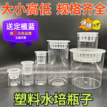 ͸ˮ໨AΎֲ@ˮˮ߲˶ӷNӻܾGֲ