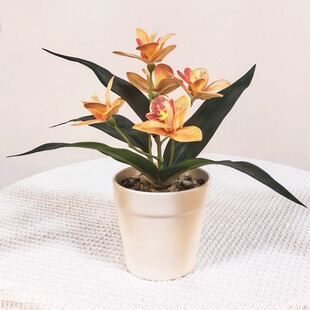 �ָ���������m���Է��滨�����m���辰����[���b���ޥ�m�ٻ�