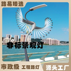 太阳能灯;庭院灯;道路照明灯