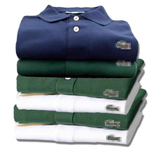 ʿTITɫӴabeTPOLO޶T