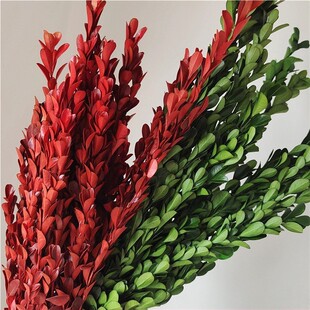 ��������С�~�S���֦�滨���W�L�ҾӼ��b�廨�Ĕz�����^���