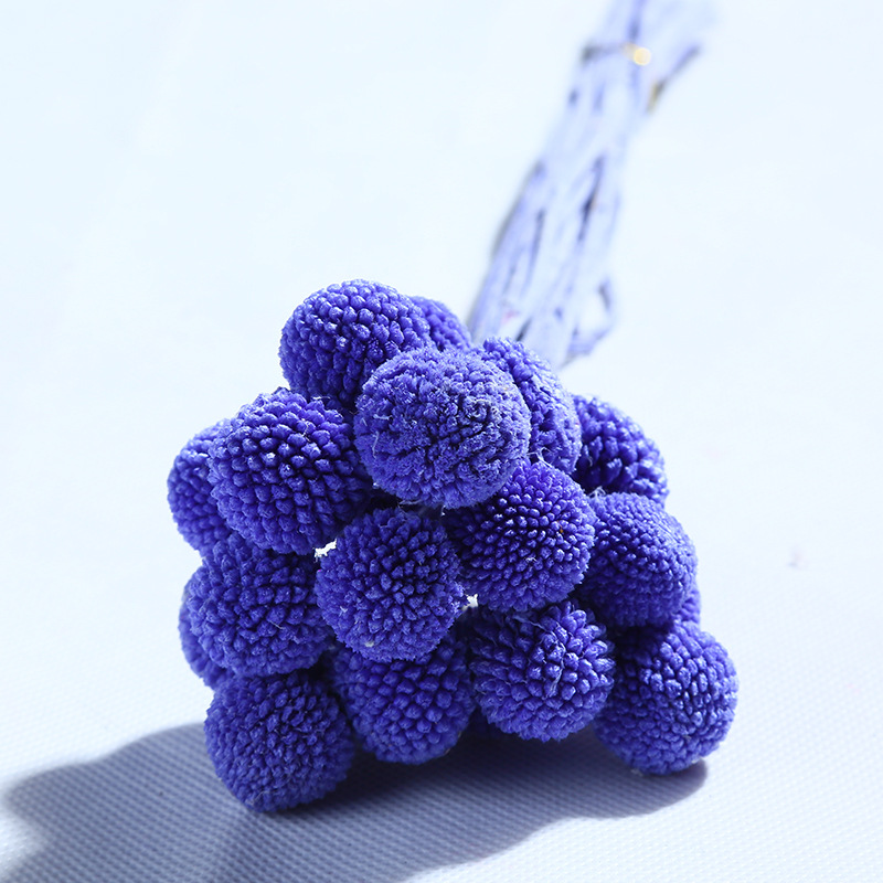Flores secas de bola dorada de flor eterna de Yunnan, 20 piezas/paquete, ramo hecho a mano para el Día de San Valentín, regalo, materiales para bricolaje, venta al por mayor de fábrica.