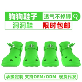 宠物鞋靴;口腔护理套装;牙刷架